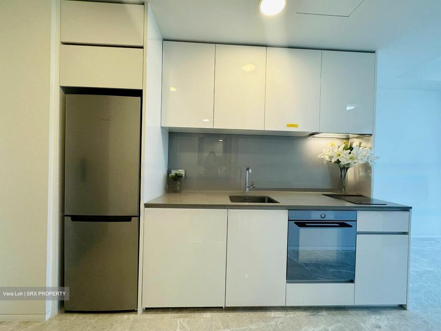 Amber Park (D15), Condominium #575834261